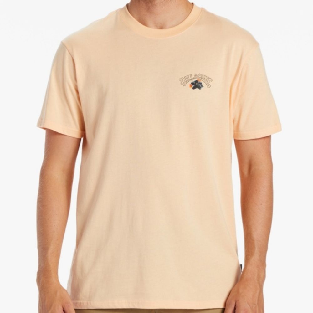 Billabong Kamea Lava Arch T-Shirt in the color "Dusty Melon"